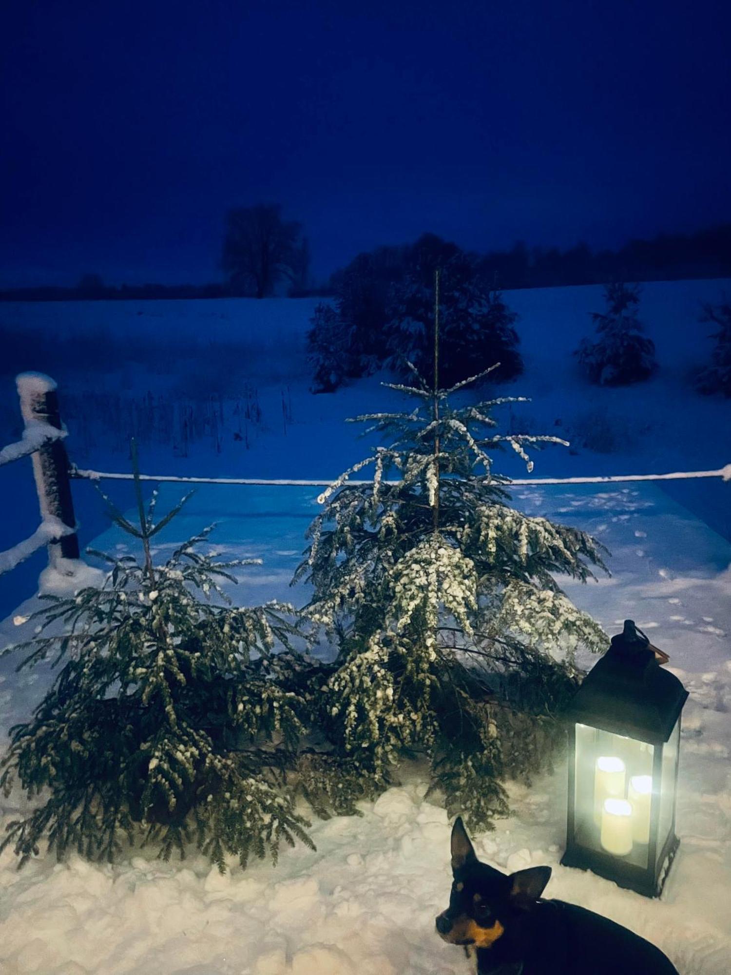Vecvanagi Jaunmuiža エクステリア 写真